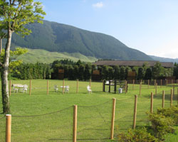 Point Vacation Ȣ��