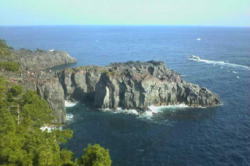 PointVacation��Ʀ�⸶