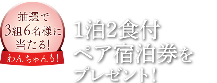 抽選で3組6名様に当たる！リニューアル記念キャンペーン 1泊2日宿泊券をプレゼント！