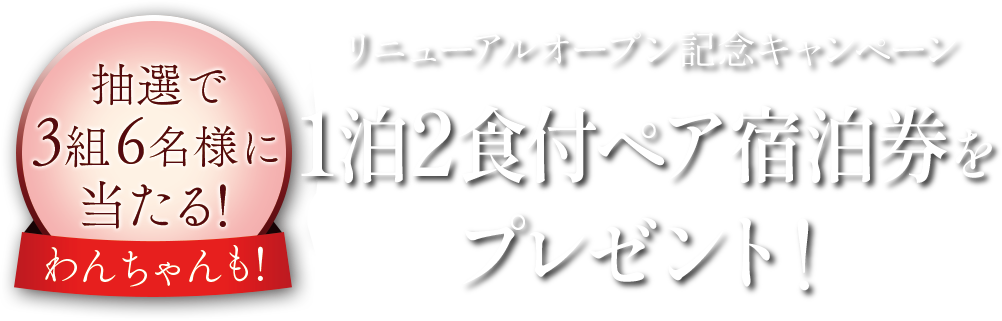 抽選で3組6名様に当たる！リニューアル記念キャンペーン 1泊2日宿泊券をプレゼント！