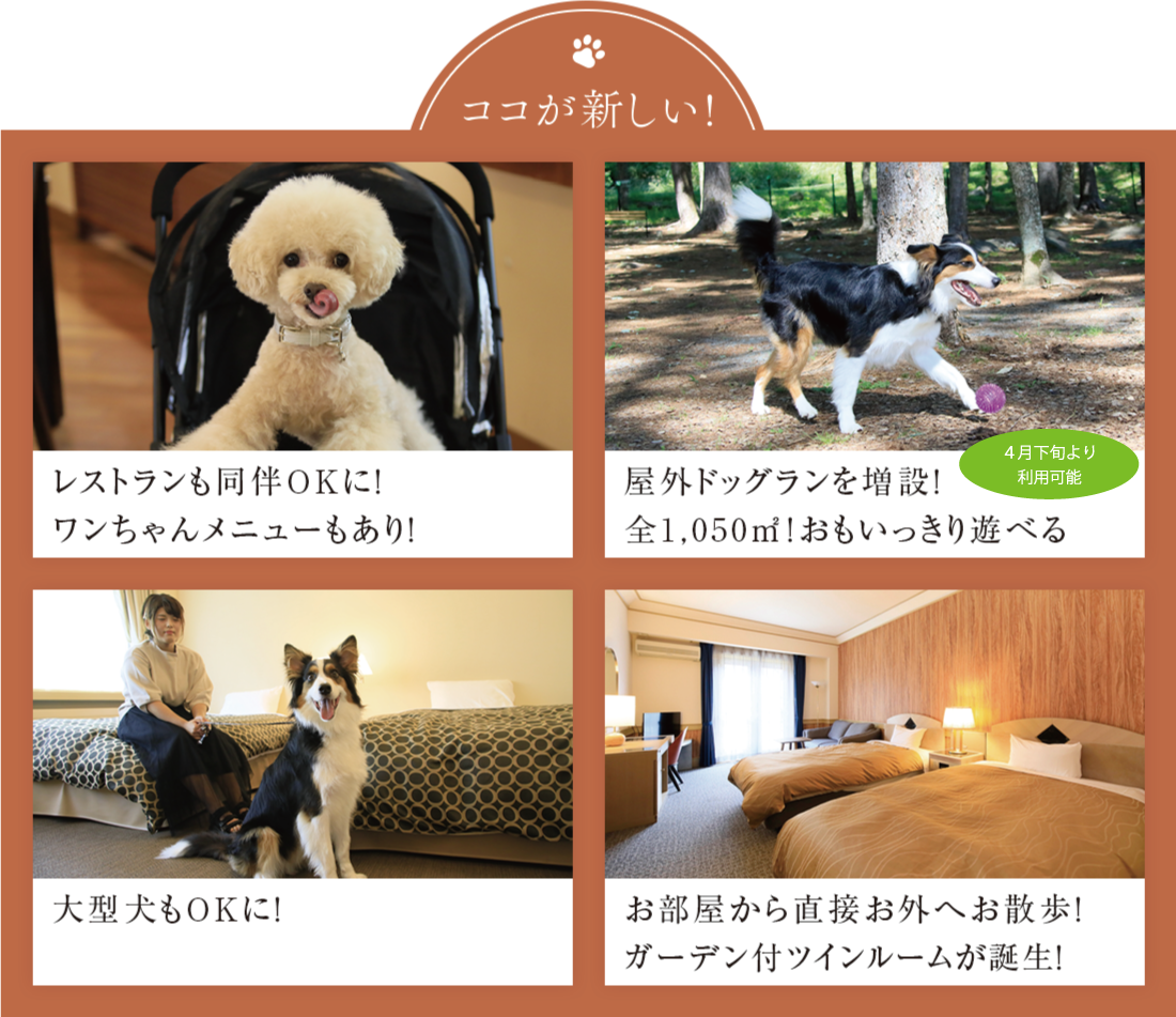 ここが新しい! レストランも同伴OKに!わんちゃんメニューもあり! 屋外ドッグランを増設！全1,050㎡!おもいっきり遊べる　大型犬もOKに! お部屋から直接お外へお散歩!ガーデン付ツインルームが誕生！