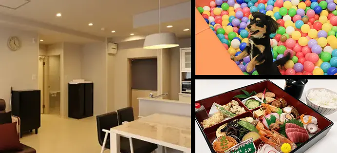 わん’s LAND 三浦海岸