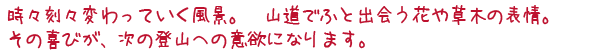 優しく、ときには厳しく、まるで自分たちの子供のように育てる。