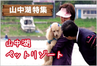 【山中湖特集】 山中湖ペット・リゾート