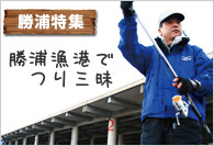【勝浦特集】 勝浦漁港で釣り三昧
