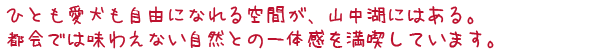 ひとも愛犬も自由になれる空間が、山中湖にはある。都会では味わえない自然との一体感を満喫しています。